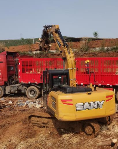 松木原木、松木條，漲勢如虹，現(xiàn)在搶購最劃算(附松木原木供應(yīng)廠家介紹)