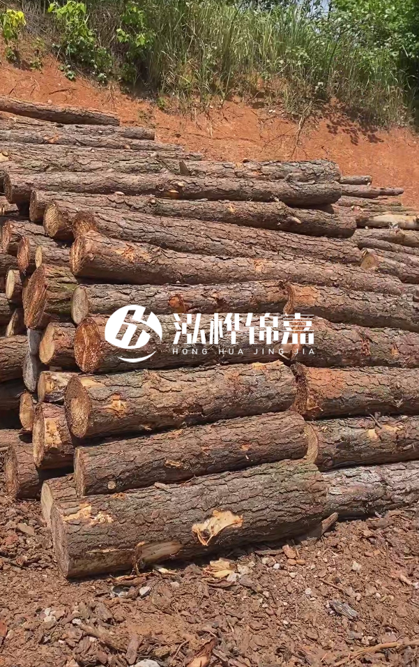 七臺(tái)河河道清淤專業(yè)施工-河道清淤的淤泥多久能干？