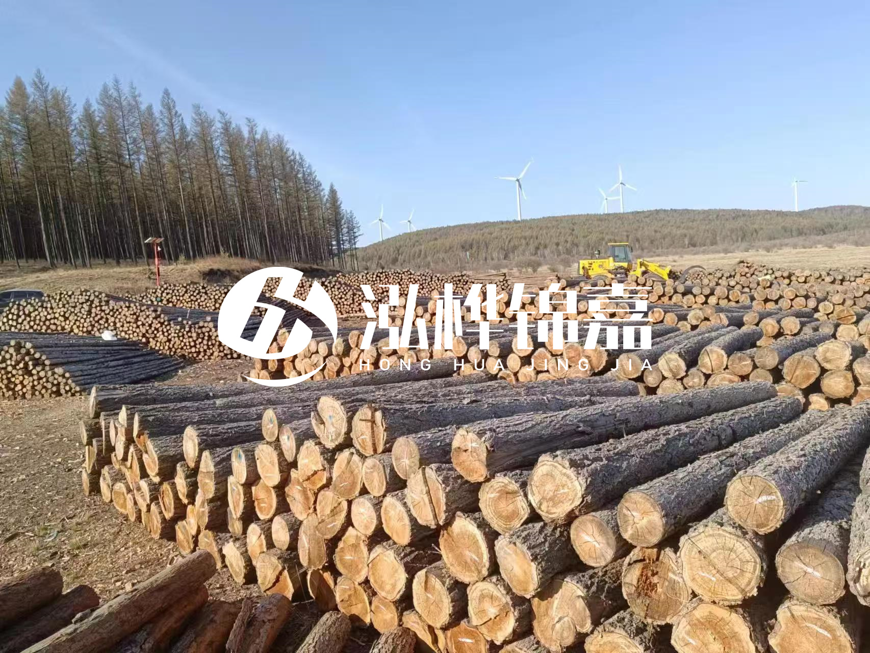 湘潭松木樁源頭廠家-松木樁與水泥樁的性價(jià)比對比如何？