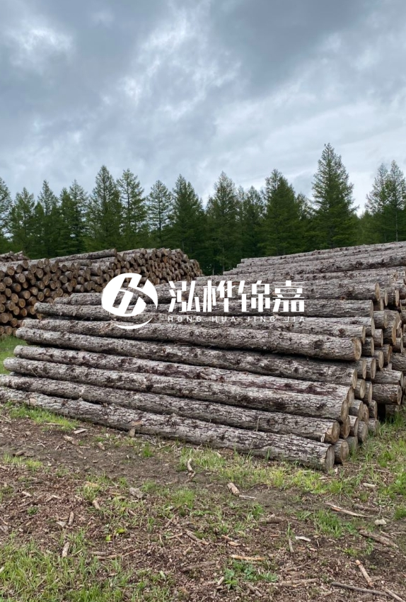 長沙松木樁源頭廠家-如何甄別松木樁打樁木的質(zhì)量好壞？