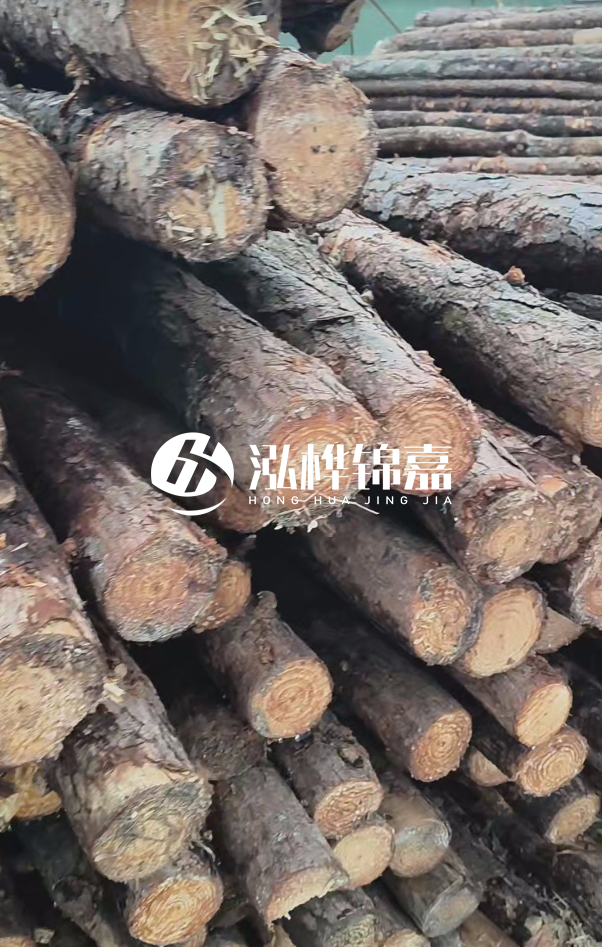 汕尾松木樁源頭廠家-松木樁在水中的耐久性如何？