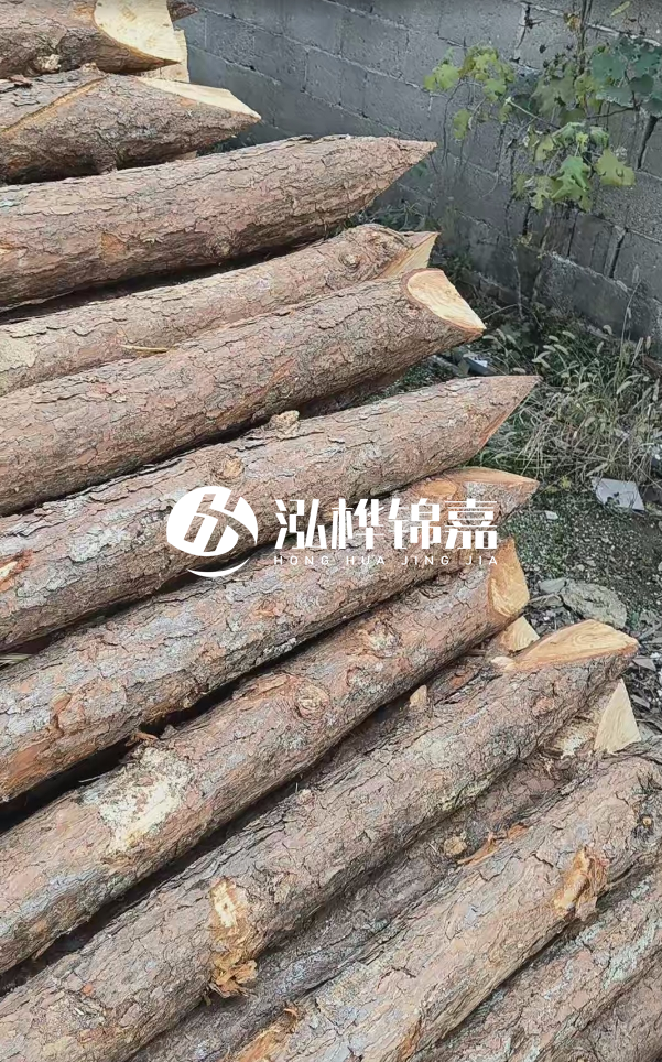 松木樁哪里能大量供應(yīng)？4米20公分松木樁價格是多少？