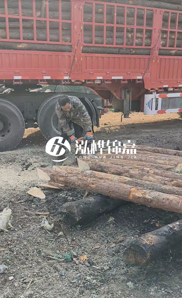 2米松木樁多少錢一根？15-20CM直徑價格是多少？