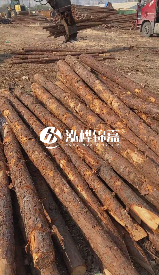 4.5米松木樁直徑14一根多少錢(qián)？5米14厘米多少錢(qián)？