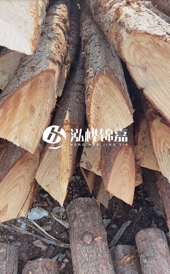 3米杉木樁梢頭12大頭多少？賣(mài)多少錢(qián)一根？