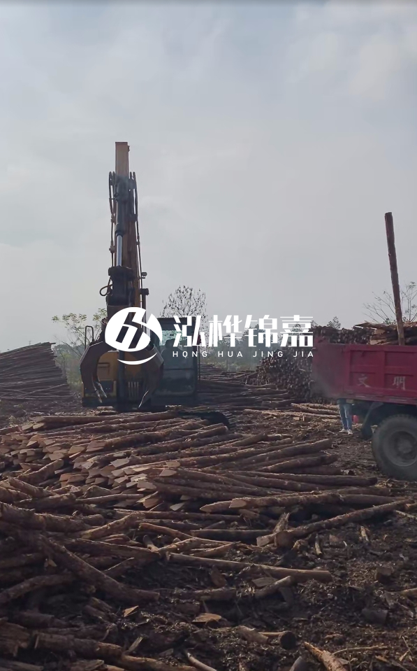 6米打樁木多少錢一根-6米10-15公分價格是多少？