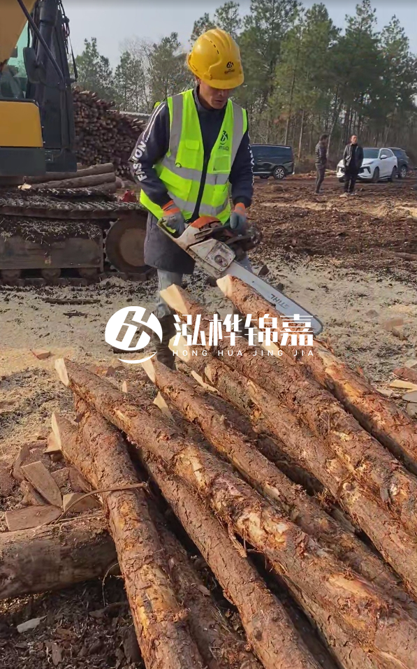 松木樁樁長1.5米稍徑12多少錢一根？樁長1.5米稍徑12大頭多少？