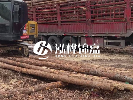 江西2米10-12松木樁多少錢一根？10-15公分價(jià)格又是多少？