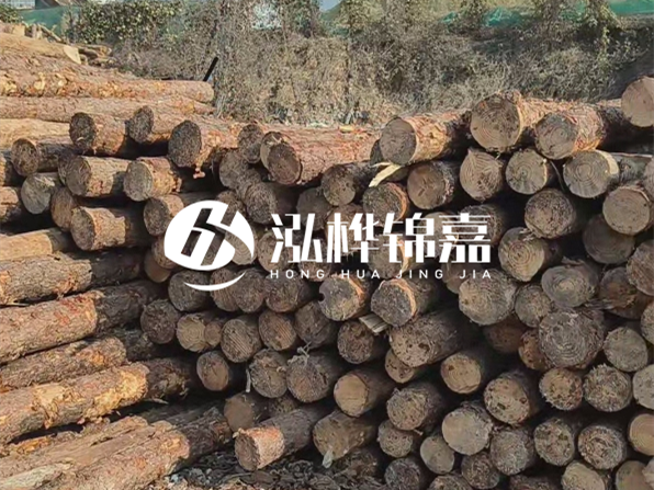 落葉松木材的主要產(chǎn)地在哪里？為什么比其他松木更耐腐蝕？