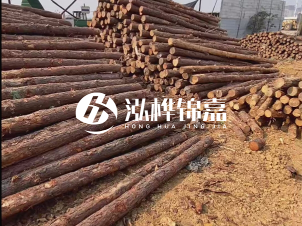 河道木樁施工遇到淤泥怎么辦？打多深才能防沖刷？