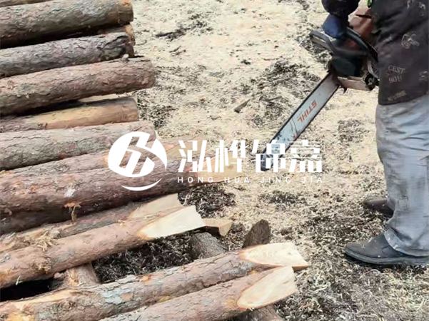 杉木樁批發(fā)廠家哪家好？產(chǎn)地直供渠道推薦！