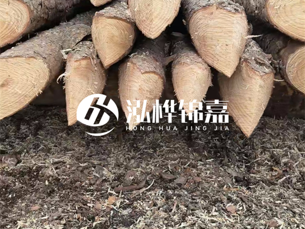 打樁木樁與鋼樁相比有哪些優(yōu)缺點(diǎn)？如何進(jìn)行后期維護(hù)？