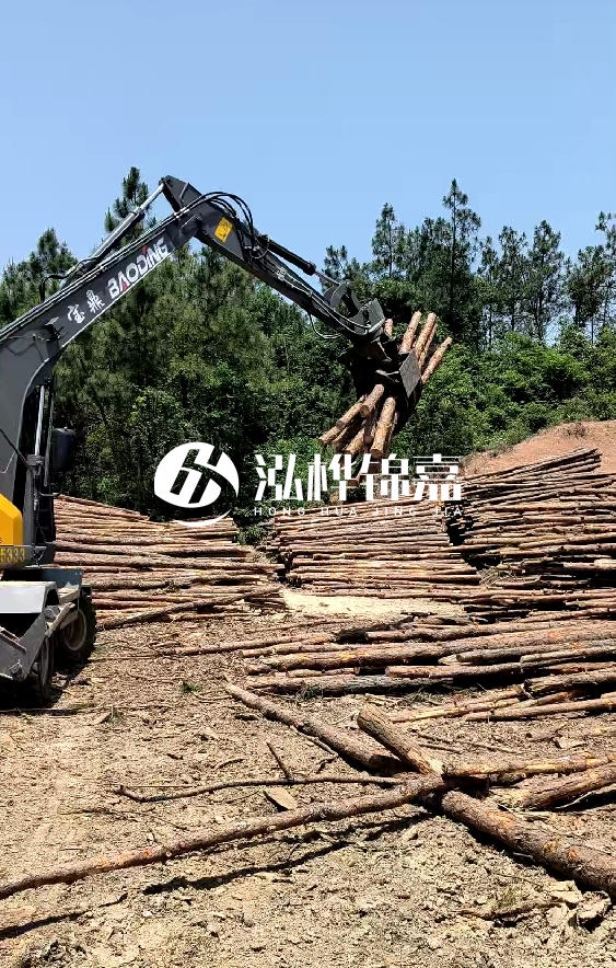 云南4米松木樁批發(fā)價(jià)格多少-4米小頭13-15直徑多少錢一根？