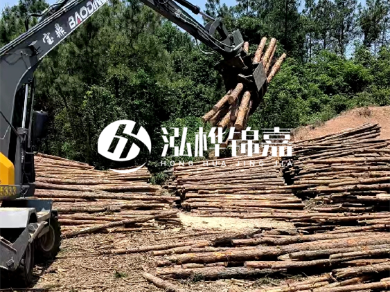 3米松木樁小頭10公分多少錢一根？大頭10公分又是多少錢？