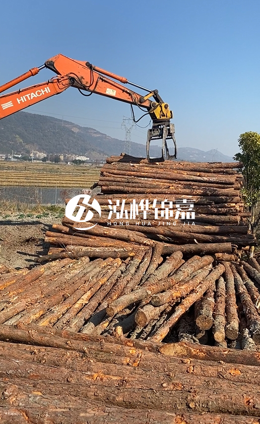 帶皮松木樁的防腐效果如何？和不帶皮松木樁價格差異有多大？