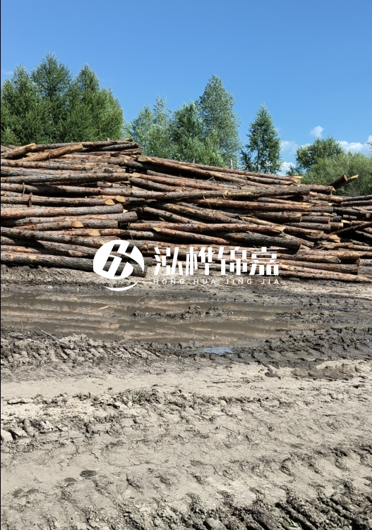 3米松木樁適合河道護(hù)坡嗎？小頭直徑8厘米的松木樁價(jià)格如何？