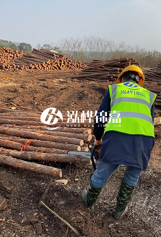 廣東松木樁3米生產(chǎn)廠家-3米直徑12松木樁多少錢？