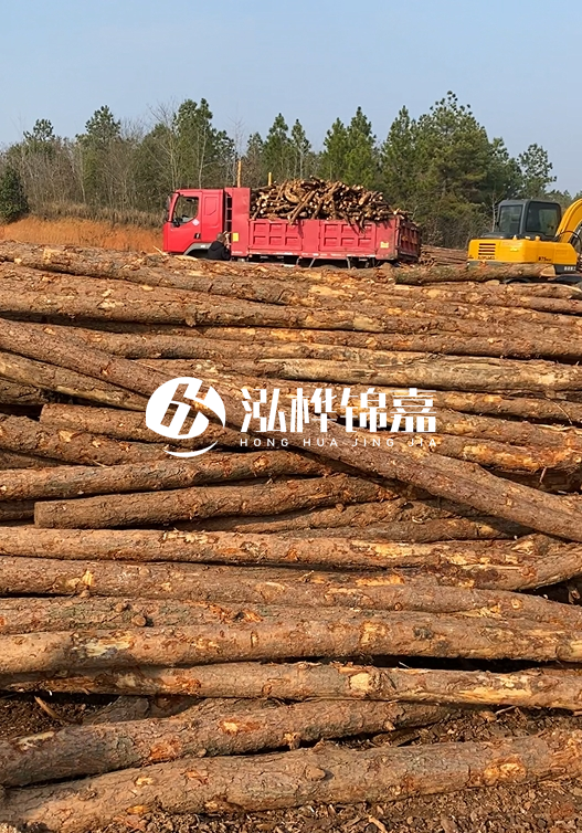 8米小頭11-13CM的松木樁價(jià)格是多少？打樁施工怎么算？