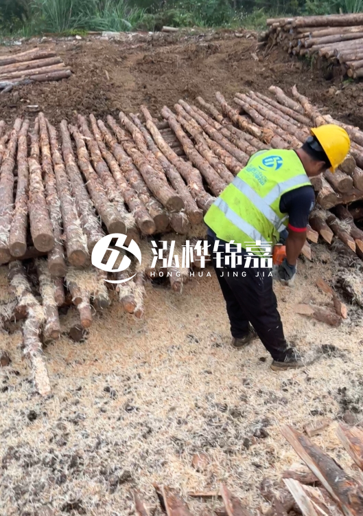 江蘇打樁木源頭廠家泓樺錦嘉-2.5米大頭10CM多少錢一根？