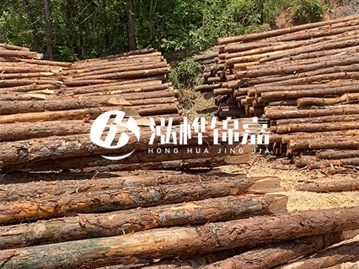 松木樁的運(yùn)輸費(fèi)用是否包含卸車費(fèi)？卸貨時(shí)需要注意哪些安全問題？