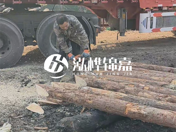 松木圓木價(jià)格大概多少一方-松木樁廠家按方可以賣嗎？