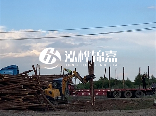 河北打樁木源頭廠家泓樺錦嘉 - 北方常用打樁木是什么？