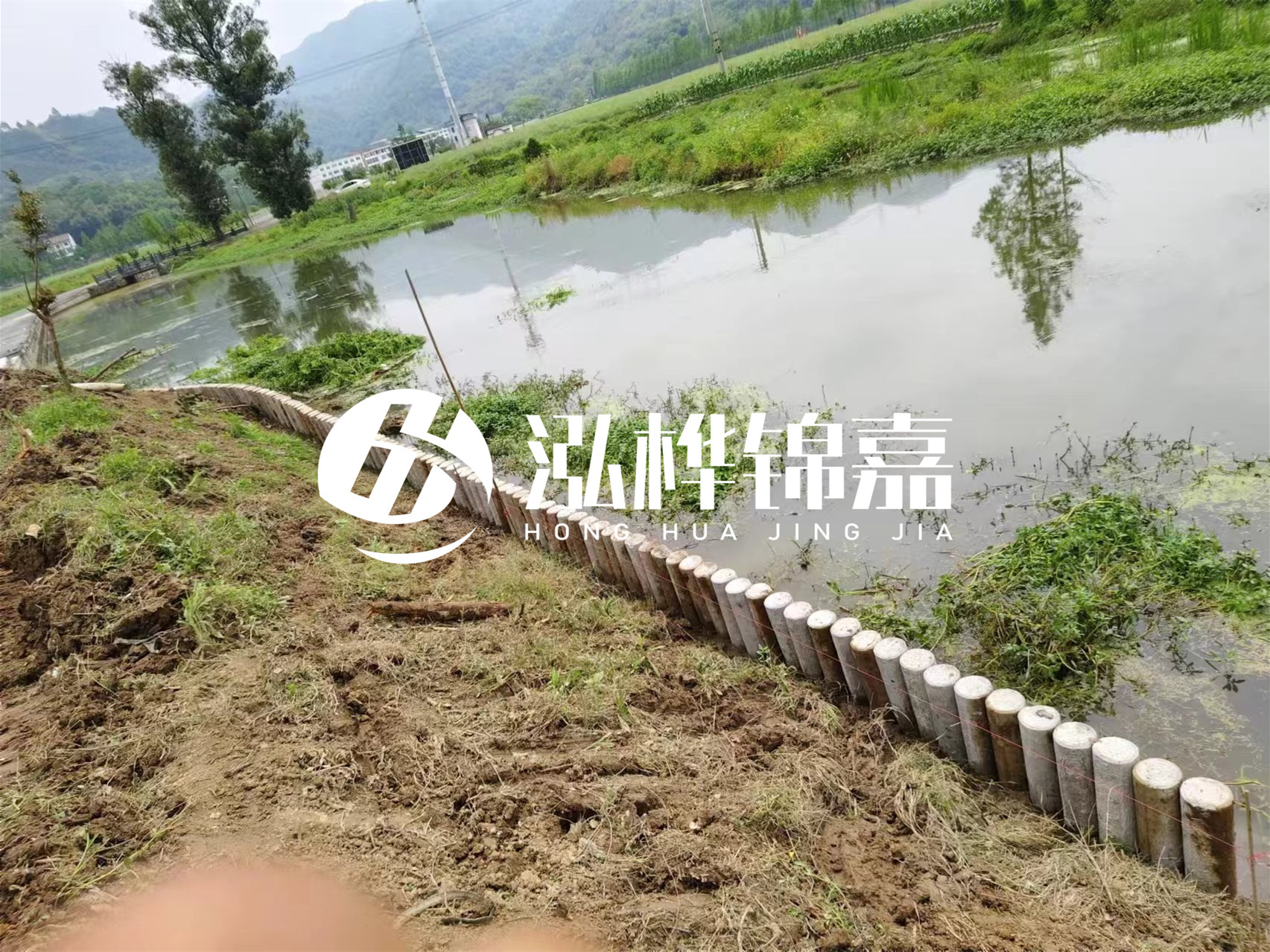 松木樁加固河道與水泥樁對比如何？哪一種更加適合您？