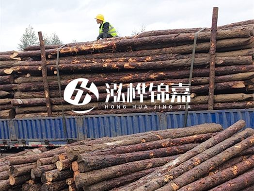 防洪防汛用松木樁的單價是多少？4米長10公分多少錢一根？