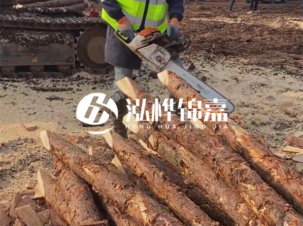 松木樁河道護(hù)坡怎么施工？打樁多少錢一根？