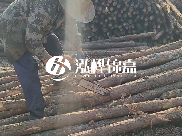 廣東打樁木源頭廠家泓樺錦嘉 - 如何選擇適合特定邊坡的松木樁？