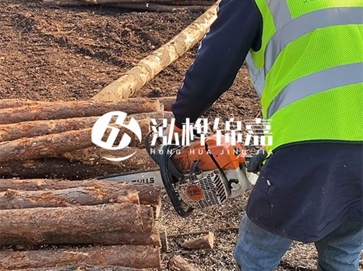 河道打木樁多少錢一根？5米直徑10松木樁打樁多少錢？