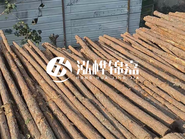 松木樁打樁后清淤怎么處理？有沒有全包的公司？