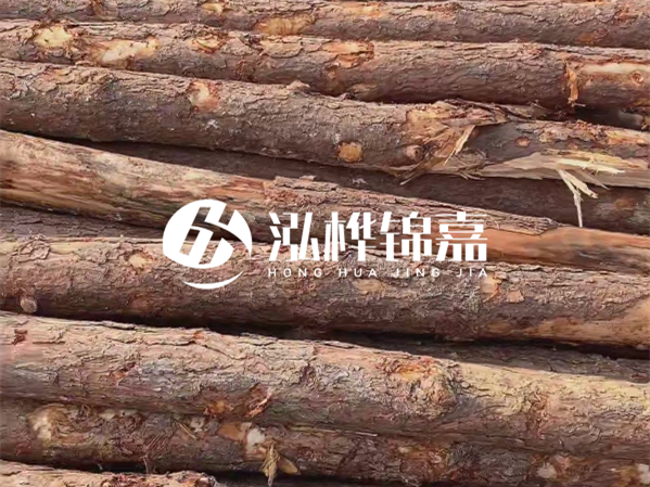 松木樁施工隊泓樺錦嘉 - 2 米長松木樁多少錢一根？